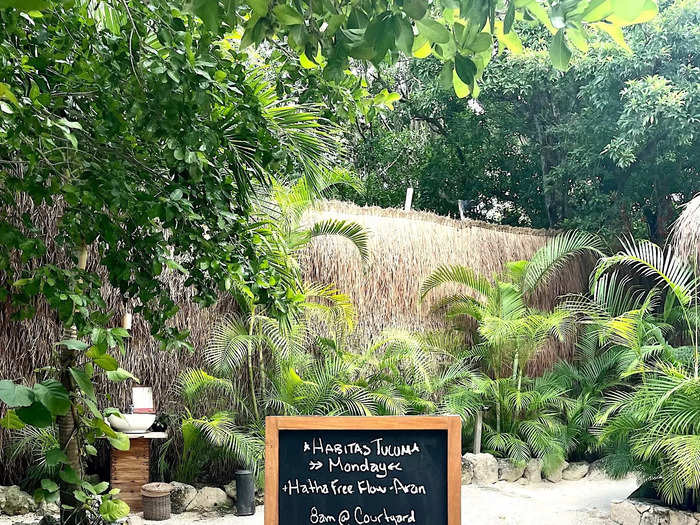 We were greeted by beautiful foliage, plus a blackboard detailing the day