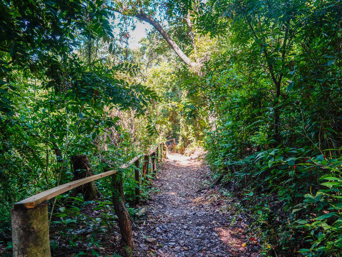 After visiting the butterflies, we spent the next hour or two hiking a trail on Ocelot Mountain.