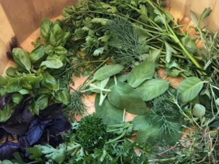 All of the following, are great for beginners, Shallon said. Going clockwise from the top: cilantro, tarragon, dill, thyme, curly leaf parsley, dark opal basil, and Genovese basil.