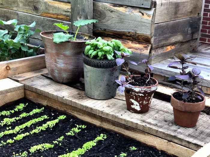 “Even where you are in the middle of a city you can have pots of herbs on a windowsill or anywhere, really, and they’ll kind of take care of themselves.” she said.