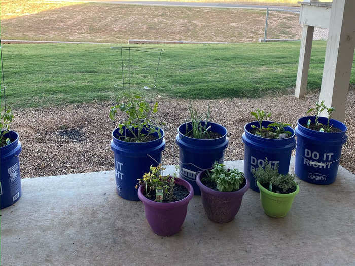 She and her husband started growing tomatoes in containers when they lived in apartments.