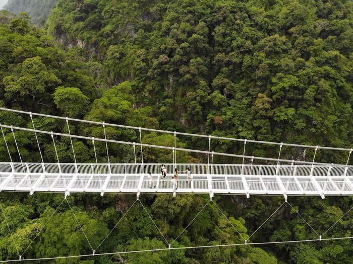 The company behind Bach Long said it put the bridge to the test by having heavy cars and trucks drive over it.