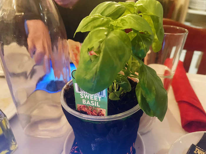 The table was dressed with a white tablecloth and red napkins. Each table also had a fresh basil plant in the center.