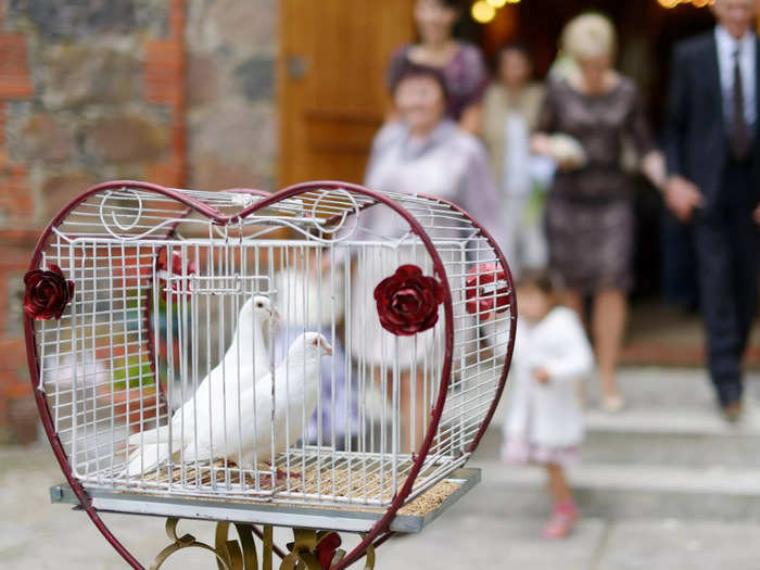 A dove release can be anticlimactic and unsafe.