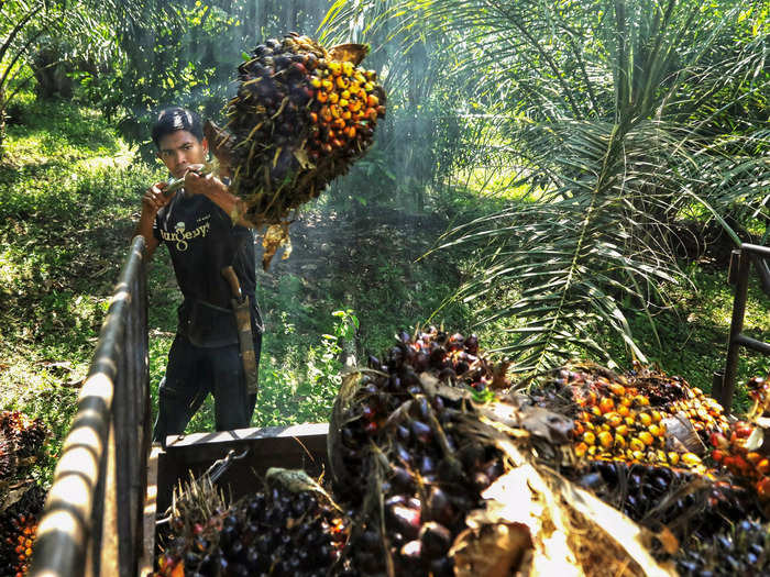 3. Indonesia has banned palm-oil exports.