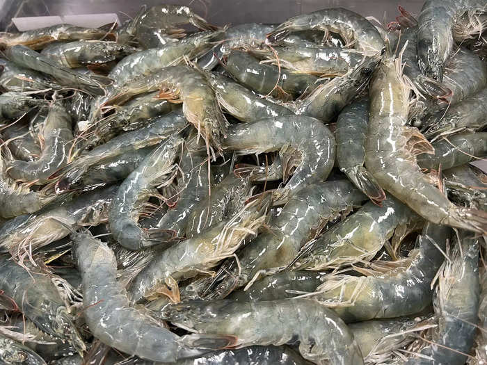 An urban shrimp farm in Los Angeles, TransparentSea, is trying to change all of that by producing local, ethically harvested shrimp.