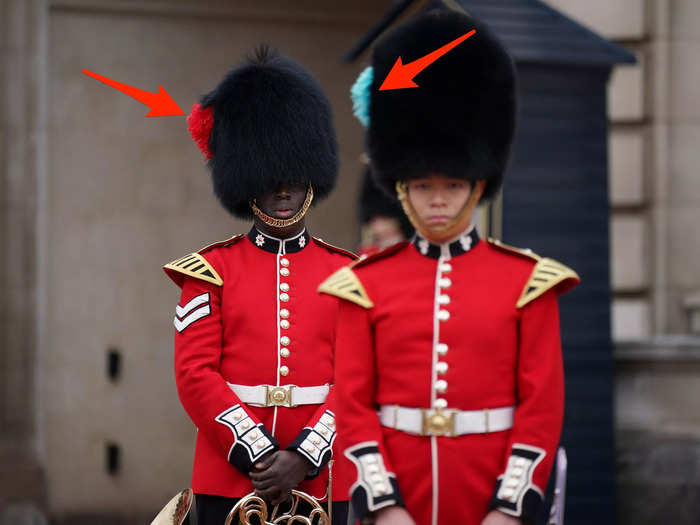 Most guards wear a black bearskin hat, but the feather plume