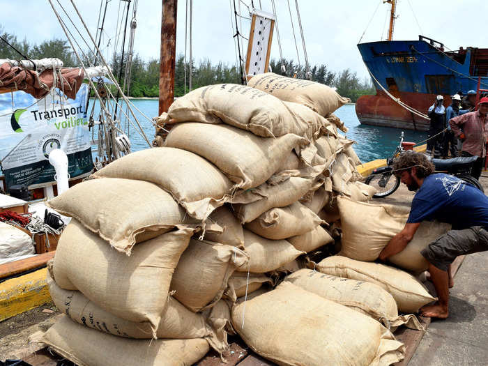 Coffee beans, like the ones pictured in the bags below, are some of the sailing freight industry