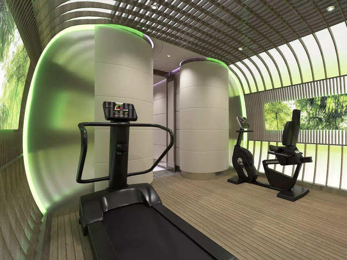 Meanwhile, the far rear of the plane features a multipurpose space that houses gym equipment for those "who do not want to do without their usual fitness and wellness facilities on long-haul flights."