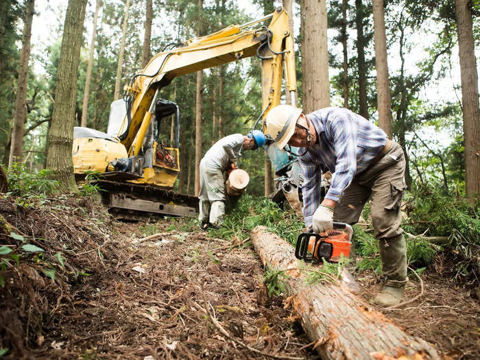 OREGON: Logging workers (all other)