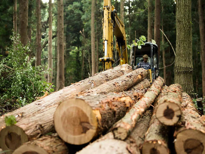 MAINE: Logging equipment operators