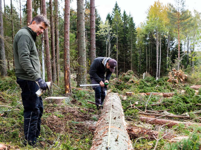 IDAHO: Forest and conservation technicians