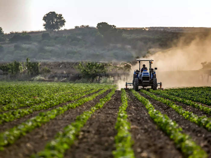 CALIFORNIA: Farmworkers and laborers (crop, nursery, and greenhouse)