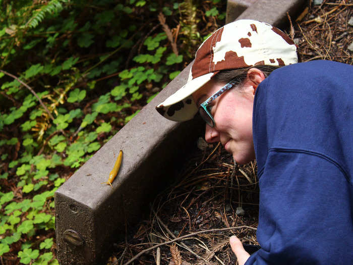 I encountered a real-life banana slug.