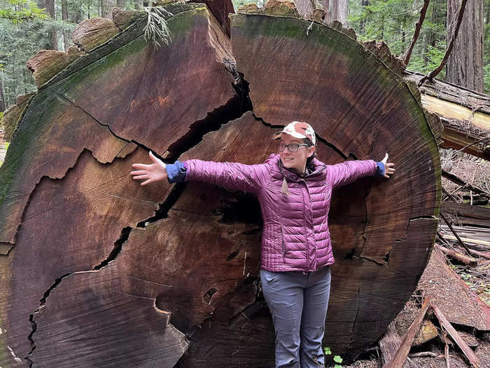 The size of the coast redwoods blew my mind.