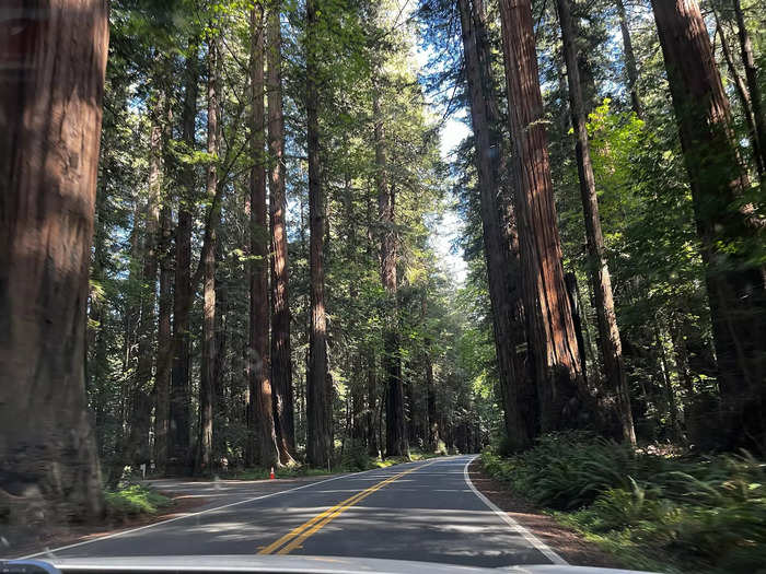 The depths of the parks were shockingly accessible by car.