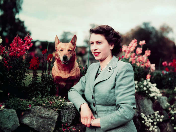 Elizabeth, pictured below the same year she ascended to the throne, was just 25 when she was proclaimed Queen Elizabeth II.