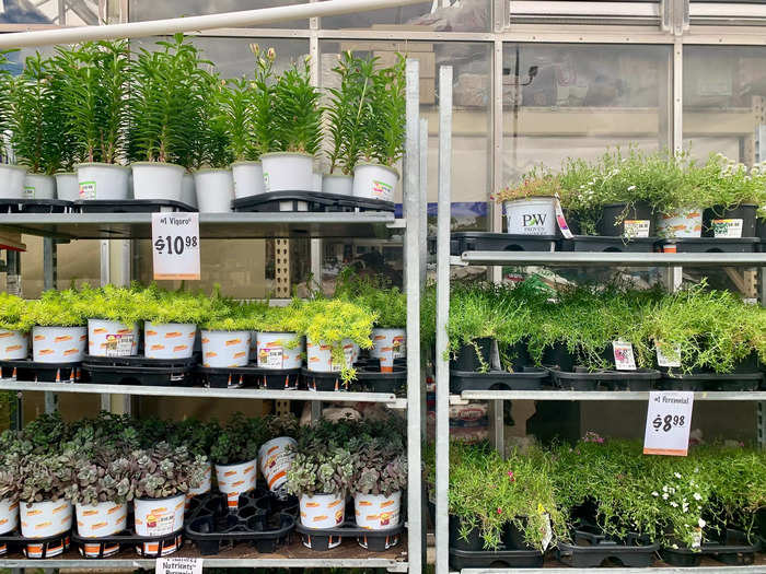 The garden center also has its own cashier, so customers only interested in the outdoor area don