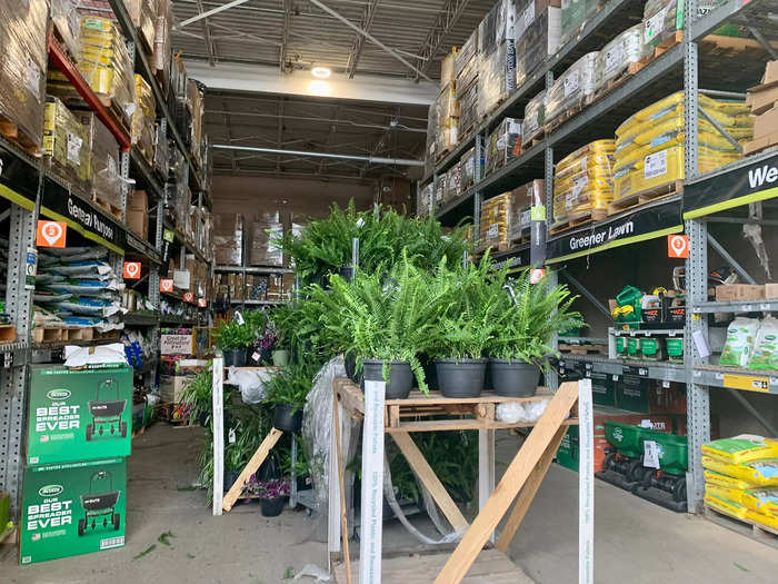 As you walk through the patio plant area, you enter the garden section, which is covered but still open to the outside.