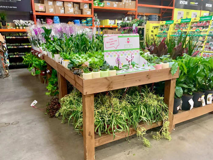 The planting season is important for Home Depot. CEO and president Ted Decker said the the company expects " tremendous" sales in the garden business to report next quarter.