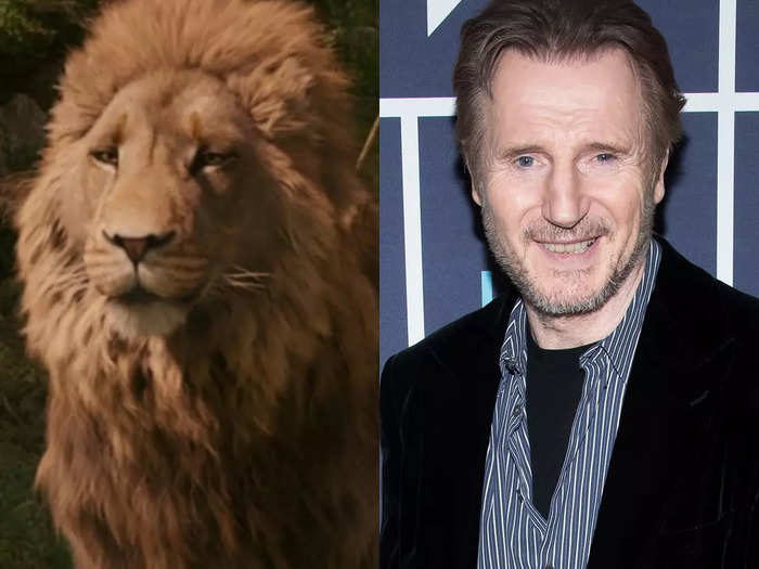 Liam Neeson was already a star before voicing Aslan in "The Chronicles of Narnia."