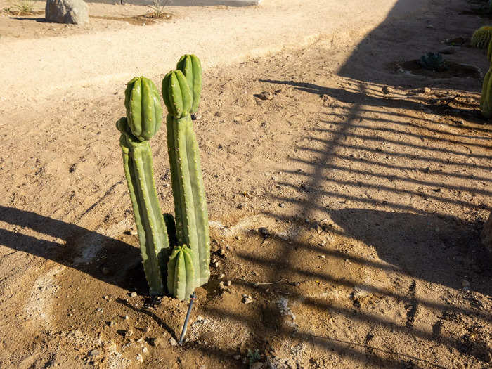 Autocamp Joshua Tree had plenty of amenities to make the desert campsite feel like a luxury retreat.