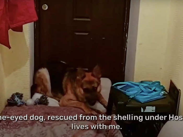 Dariia Tsepkova, a narrative designer at GSC Game World, has lived for three months in what she called a "corridor" with a one-eyed dog rescued from the Ukrainian city of Hostomel.