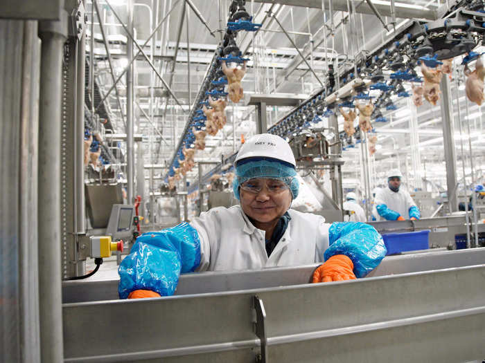 The plant employs about 800 workers to process these chickens.