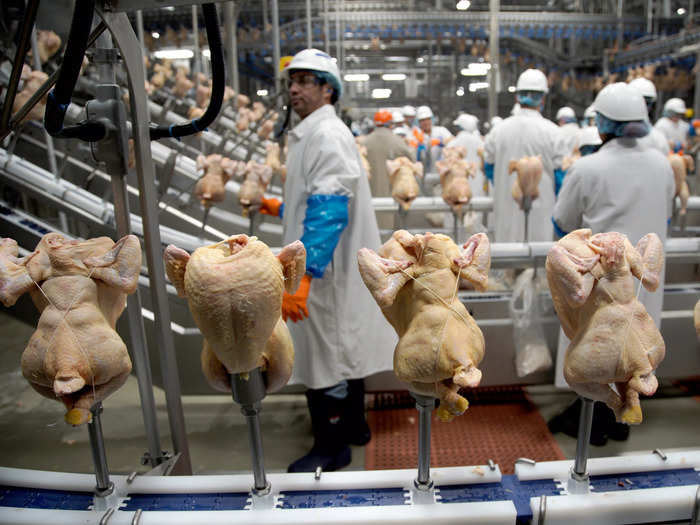 To meet this demand, Costco has to work with over 500 chicken farms.