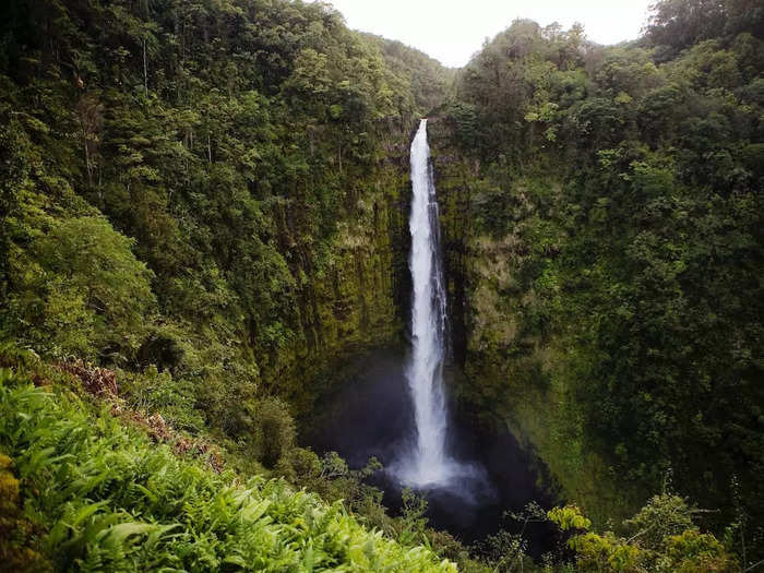 Located on the Big Island of Hawaii, the retreat is said to be 18,500 square feet and has seven bedrooms, according to the Wall Street Journal.