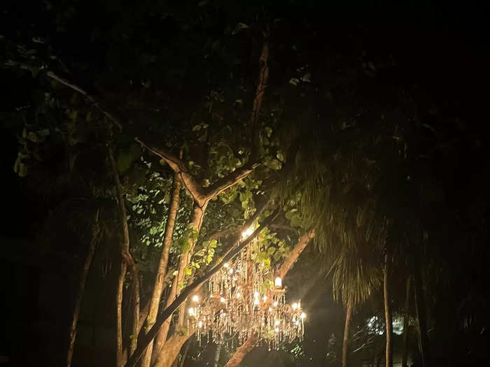 A sparkling chandelier dangling from a tree greeted me at the entrance of Casa Malca.