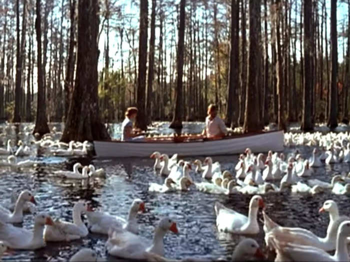 The crew raised the swans from the boat scene on location so the birds would feel more familiar with the area.