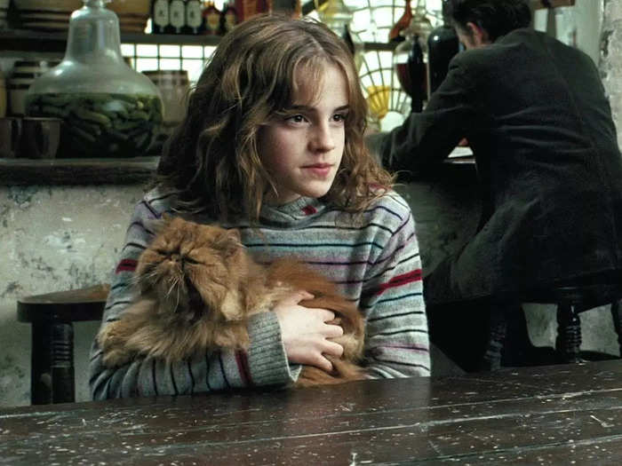 The pets in "Harry Potter and the Prisoner of Azkaban" are supposed to give away some important clues.