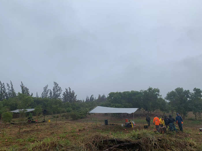 Instead of spending all your vacation by the beach, consider giving back to Hawaii through volunteer opportunities.