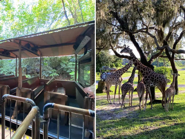 2. Kilimanjaro Safaris