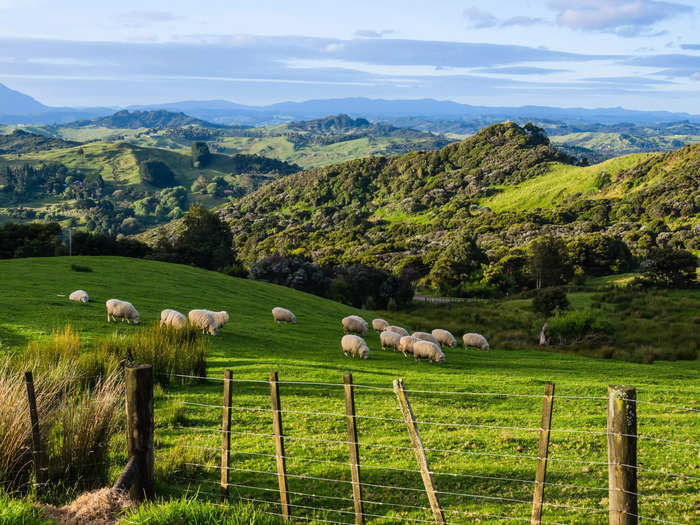 New Zealand has incredible scenery, from beaches to snow-capped mountain peaks.