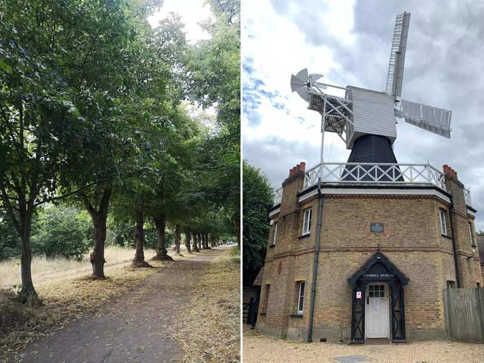 To recover from my sugar high, I headed for a walk in Wimbledon Common and found an unexpected yet historic windmill.