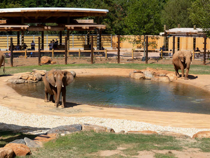 Zoo Atlanta