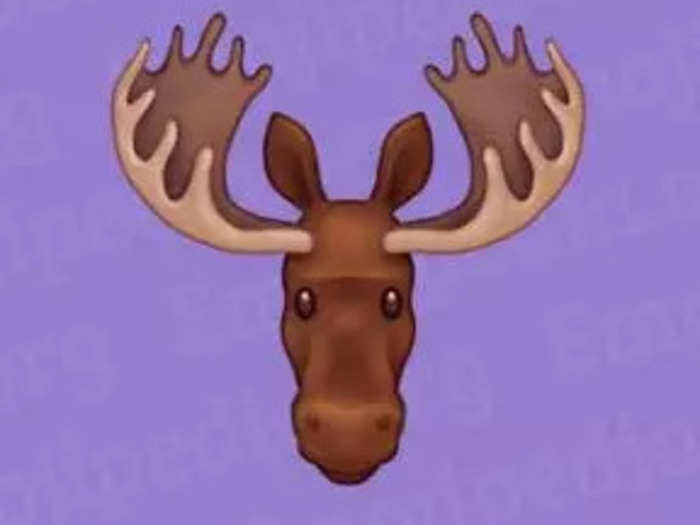 9. Moose