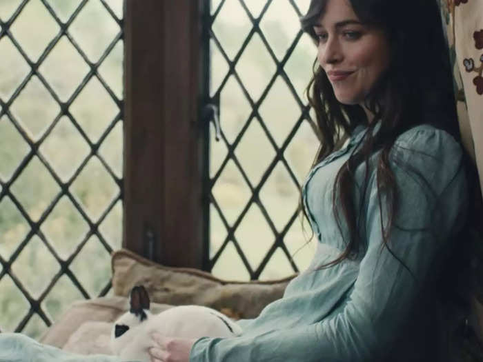 Anne only has a pet rabbit in the movie.