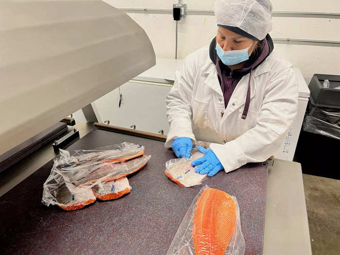 Then, the meat is vacuum sealed and packed in insulated boxes. The fish are then sold to farmer