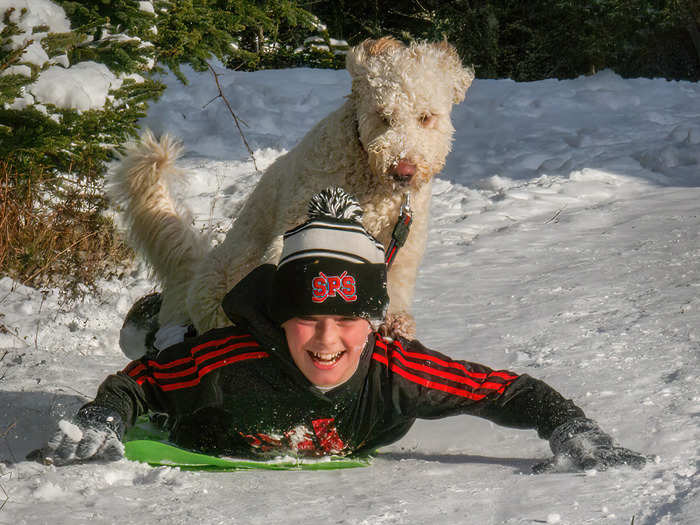 Neville Tait took this sledding action shot and titled it "Hitching A Lift!"