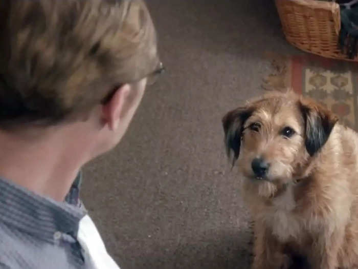 Williams voices a dog, Dennis, in the 2015 sci-fi comedy "Absolutely Anything." This was his final film role.