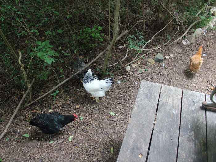 After settling into the house, I decided to take a spin around the property right outside.