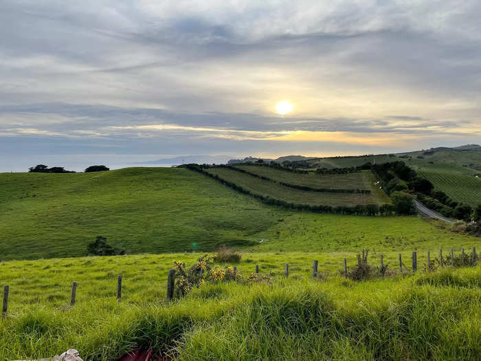 About a 40-minute ferry ride off the coast of Auckland, New Zealand, is Waiheke Island. The 12-mile island is dotted with multimillion-dollar mansions, fields of vineyards, and seafood galore.