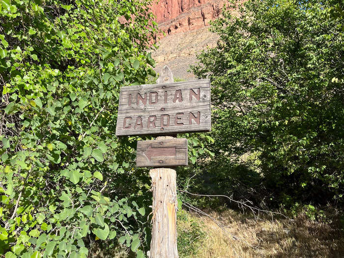 I should have taken more time to rest, stretch, and explore Indian Garden, also known as Havasupai Garden.