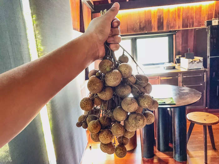 It was longan season when I visited, so the housekeeper gave me a stalk of the fruit that came right from a nearby farm.