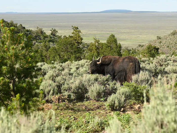 So just because the property is 30 minutes from Taos, New Mexico doesn