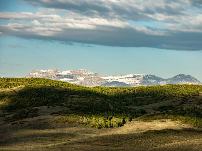 The exodus from major US cities that jumpstarted during the pandemic has led nature-loving homebuyers to pay extra for environmentally-focused living spaces, as the Wall Street Journal reported in June.