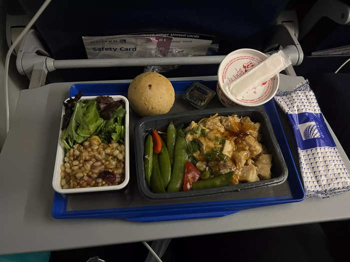 I was pleased with the dinner served, which was a chicken and veggie dish served with salad, bread, and ice cream.